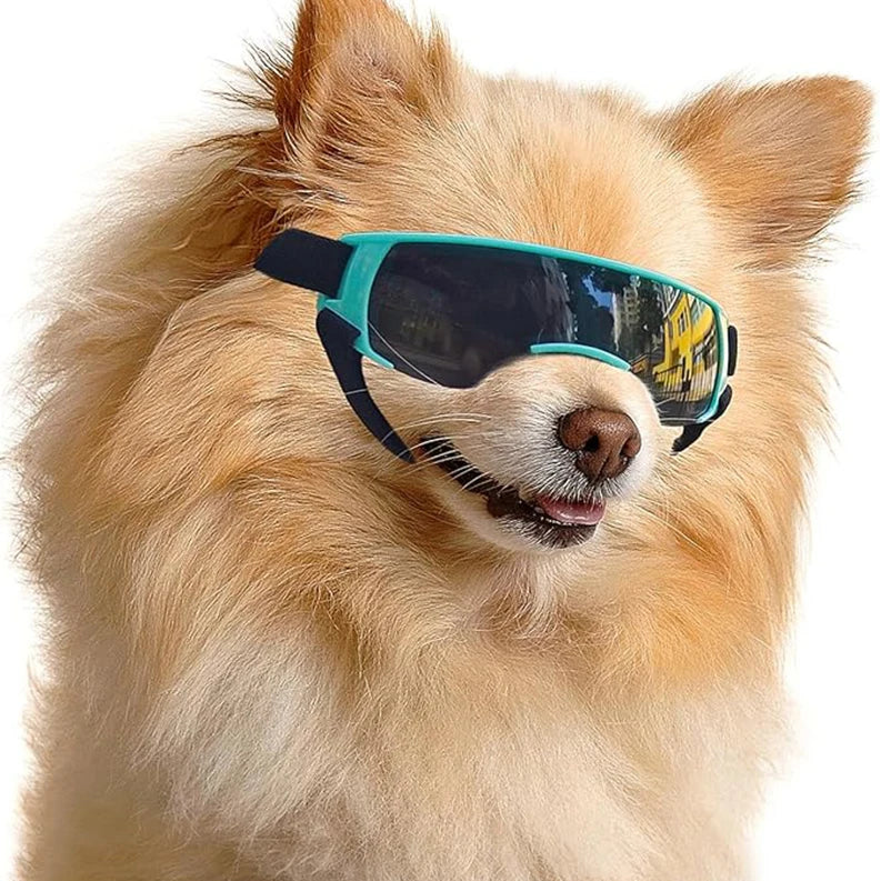 Cool Shades – UV Protection Goggles for Small Breed Dogs - supergoggledog