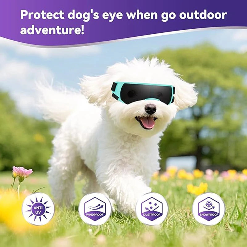 Cool Shades – UV Protection Goggles for Small Breed Dogs - supergoggledog